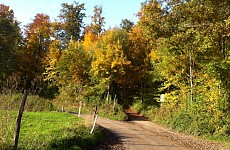 Herbstlicher Sattelhof